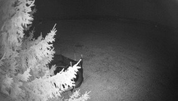 Snímek 7.11.2025 v 03:45