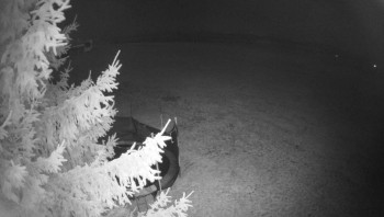 Snímek 7.11.2025 v 05:15