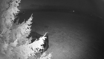 Snímek 7.11.2025 v 05:45