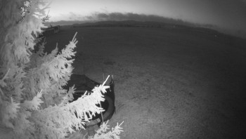 Snímek 7.11.2025 v 06:00