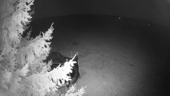 Snímek 7.11.2025 v 17:45