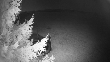 Snímek 7.11.2025 v 19:30