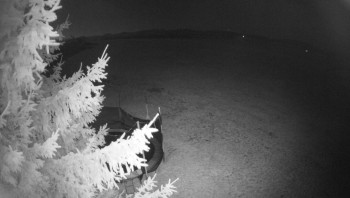 Snímek 7.11.2025 v 20:15