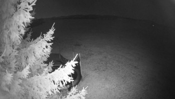 Snímek 7.11.2025 v 21:30