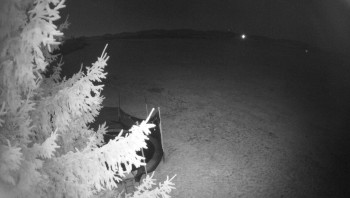 Snímek 7.11.2025 v 21:45