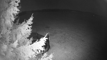 Snímek 8.11.2025 v 00:00