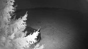 Snímek 8.11.2025 v 00:30