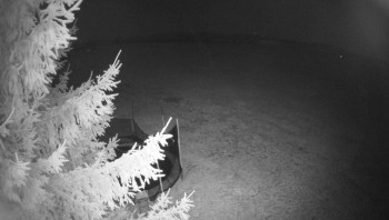 Snímek 8.11.2025 v 03:00