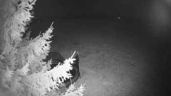 Snímek 8.11.2025 v 04:15