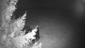 Snímek 8.11.2025 v 05:00