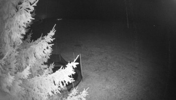 Snímek 8.11.2025 v 17:30