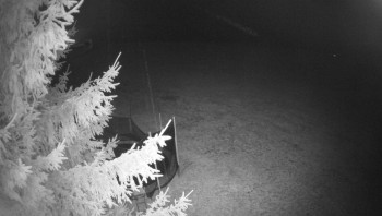 Snímek 8.11.2025 v 19:00