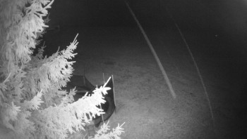 Snímek 8.11.2025 v 19:45