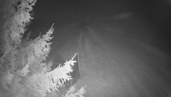 Snímek 8.11.2025 v 21:15