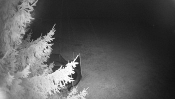 Snímek 8.11.2025 v 22:00