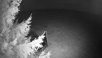 Snímek 9.11.2025 v 02:15