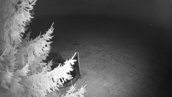 Snímek 9.11.2025 v 02:45