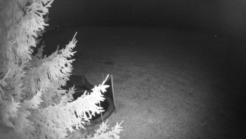 Snímek 9.11.2025 v 04:45