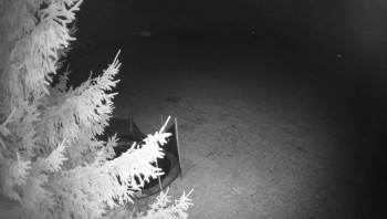 Snímek 9.11.2025 v 19:15