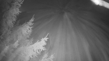 Snímek 12.11.2025 v 17:30