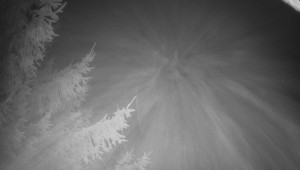 Letiště Třebíč - Pohled na východ - 14.11.2025 v 00:15 Letiště Třebíč - Pohled na východ - 14.11.2025 v 00:15