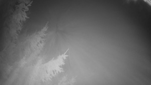 Letiště Třebíč - Pohled na východ - 14.11.2025 v 00:30 Letiště Třebíč - Pohled na východ - 14.11.2025 v 00:30