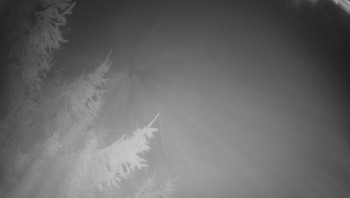 Snímek 14.11.2025 v 00:30