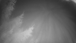 Letiště Třebíč - Pohled na východ - 14.11.2025 v 00:45 Letiště Třebíč - Pohled na východ - 14.11.2025 v 00:45