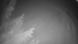 Letiště Třebíč - Pohled na východ - 14.11.2025 v 02:15 Letiště Třebíč - Pohled na východ - 14.11.2025 v 02:15