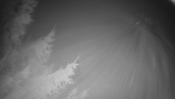 Snímek 14.11.2025 v 02:15