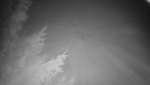 Letiště Třebíč - Pohled na východ - 14.11.2025 v 02:30 Letiště Třebíč - Pohled na východ - 14.11.2025 v 02:30