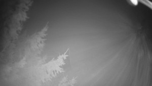 Letiště Třebíč - Pohled na východ - 14.11.2025 v 03:45 Letiště Třebíč - Pohled na východ - 14.11.2025 v 03:45