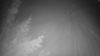 Snímek 14.11.2025 v 04:00