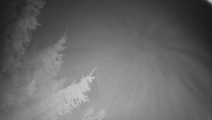 Letiště Třebíč - Pohled na východ - 14.11.2025 v 04:45 Letiště Třebíč - Pohled na východ - 14.11.2025 v 04:45