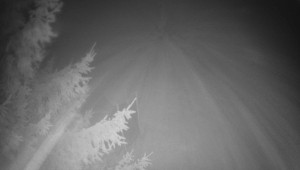 Letiště Třebíč - Pohled na východ - 14.11.2025 v 05:15 Letiště Třebíč - Pohled na východ - 14.11.2025 v 05:15