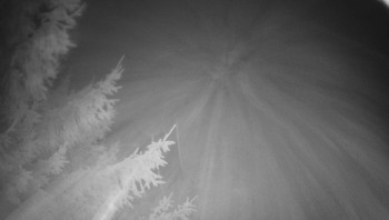 Snímek 14.11.2025 v 05:45