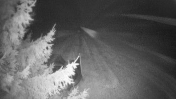 Snímek 14.11.2025 v 20:30