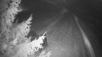 Snímek 14.11.2025 v 21:30