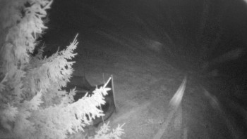 Snímek 14.11.2025 v 23:15