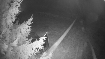 Snímek 15.11.2025 v 02:30