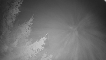 Snímek 15.11.2025 v 05:00