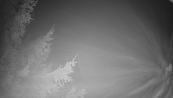 Snímek 15.11.2025 v 05:45