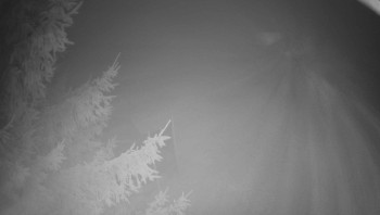 Snímek 15.11.2025 v 06:30