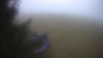 Snímek 15.11.2025 v 07:30