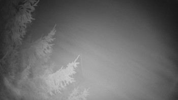 Snímek 15.11.2025 v 18:45