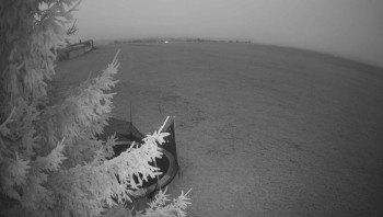 Snímek 16.11.2025 v 16:45