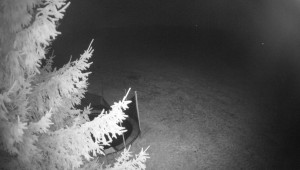 Letiště Třebíč - Pohled na východ - 18.11.2025 v 04:00 Letiště Třebíč - Pohled na východ - 18.11.2025 v 04:00