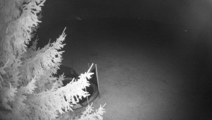 Letiště Třebíč - Pohled na východ - 18.11.2025 v 22:00 Letiště Třebíč - Pohled na východ - 18.11.2025 v 22:00