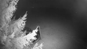 Letiště Třebíč - Pohled na východ - 18.11.2025 v 23:00 Letiště Třebíč - Pohled na východ - 18.11.2025 v 23:00