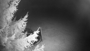 Snímek 23.11.2025 v 01:45